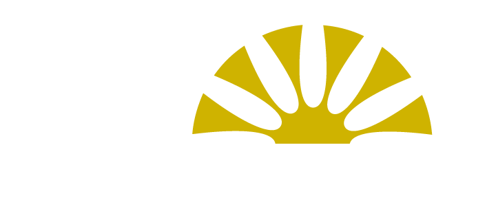Insurgentes - El Tianguis